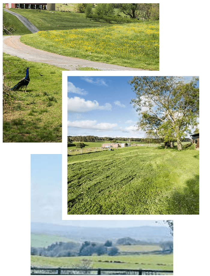 Greenhavens Farms — view 1